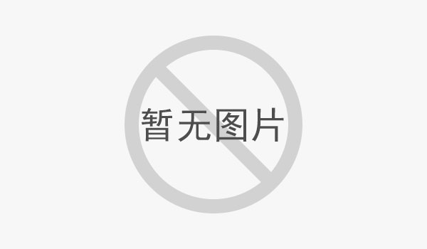 行業(yè)標(biāo)準(zhǔn)突出貢獻(xiàn)